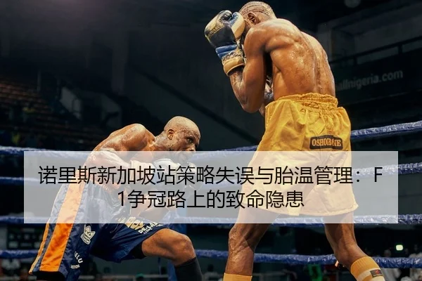 nuo-li-si-xin-jia-po-zhan-ce-lve-shi-wu-yu-tai-wen-guan-li-zheng-guan-lu-shang-de-zhi-ming-yin-huan-2-374.jpg