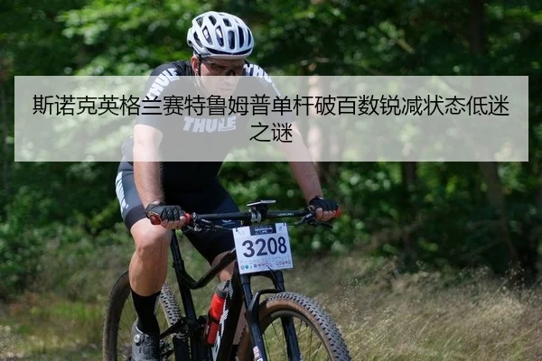 si-nuo-ke-ying-ge-lan-sai-te-lu-mu-pu-dan-gan-po-bai-shu-rui-jian-zhuang-tai-di-mi-zhi-mi-2-656.jpg